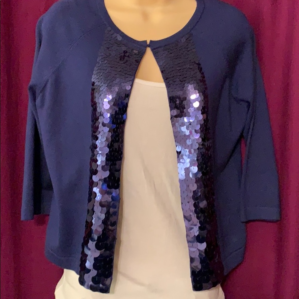Ann Taylor Blue Sequin Trim Sweater